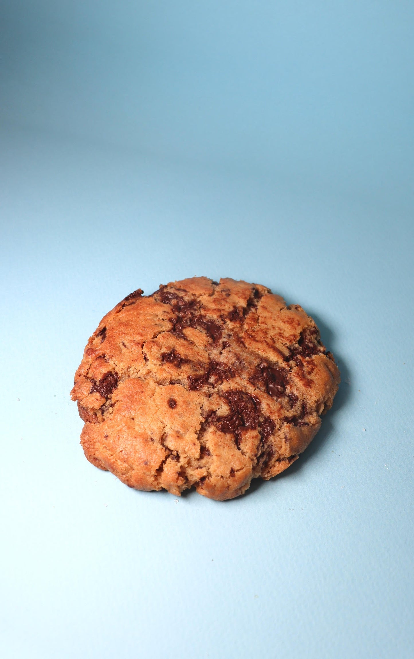 Self Raised Favourites