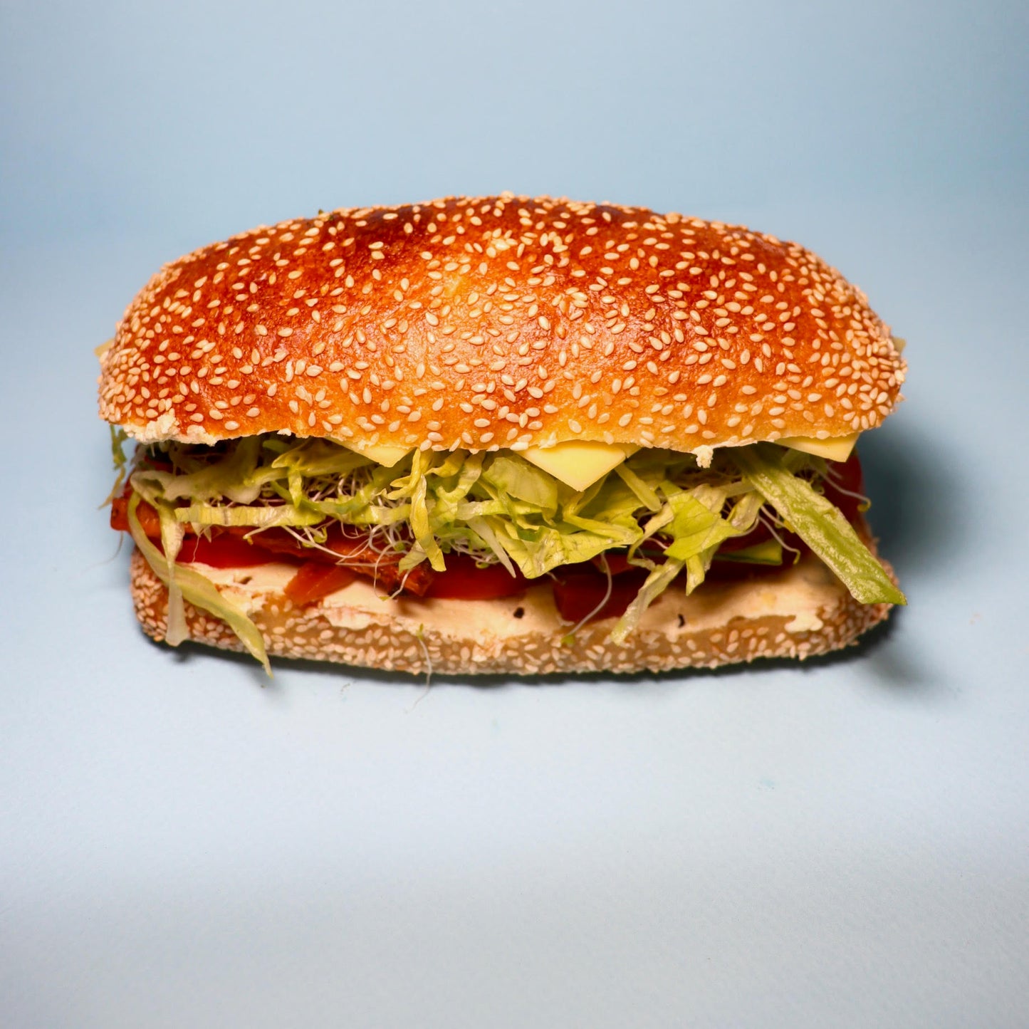 Fresh Sandwiches